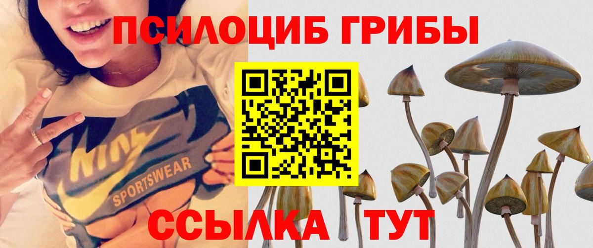 Арсеньев  Псилоцибиновые грибы MAGIC MUSHROOMS  Псилоцибиновые грибы Psilocybe  где продают   Вход с VPN 